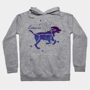 Canis Constellation Hoodie